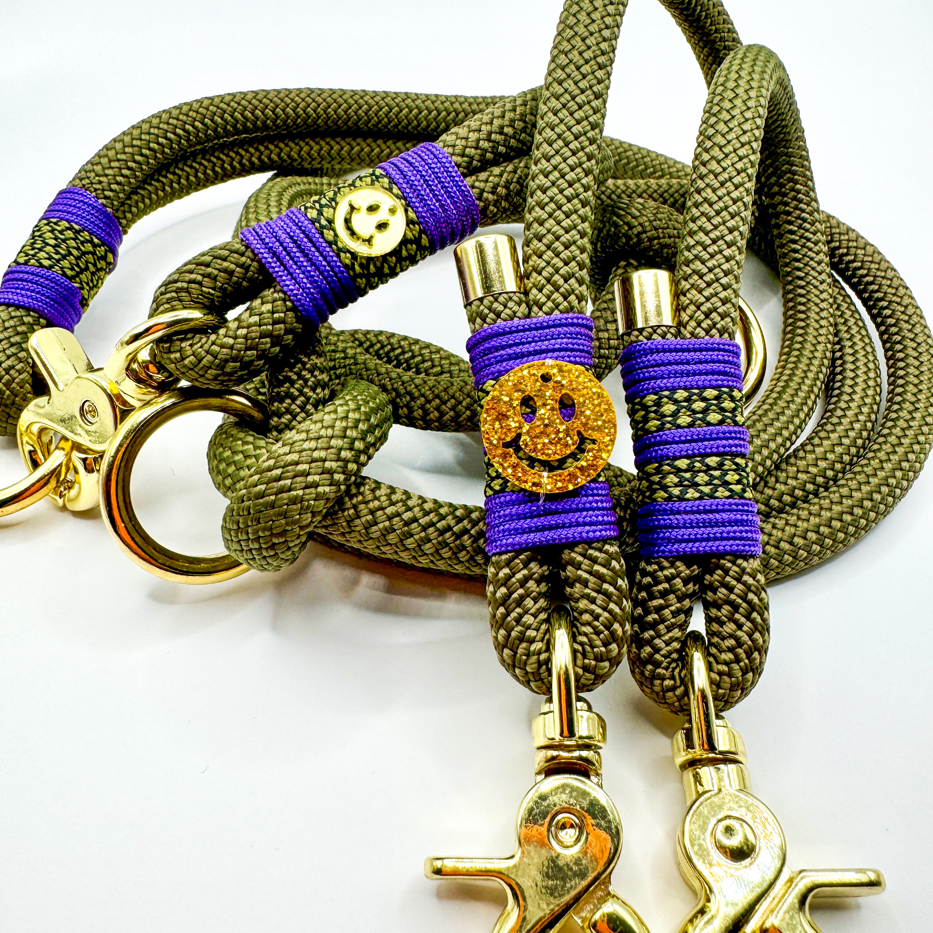 Hundeleine und Halsband 'Goldisches Lächeln'