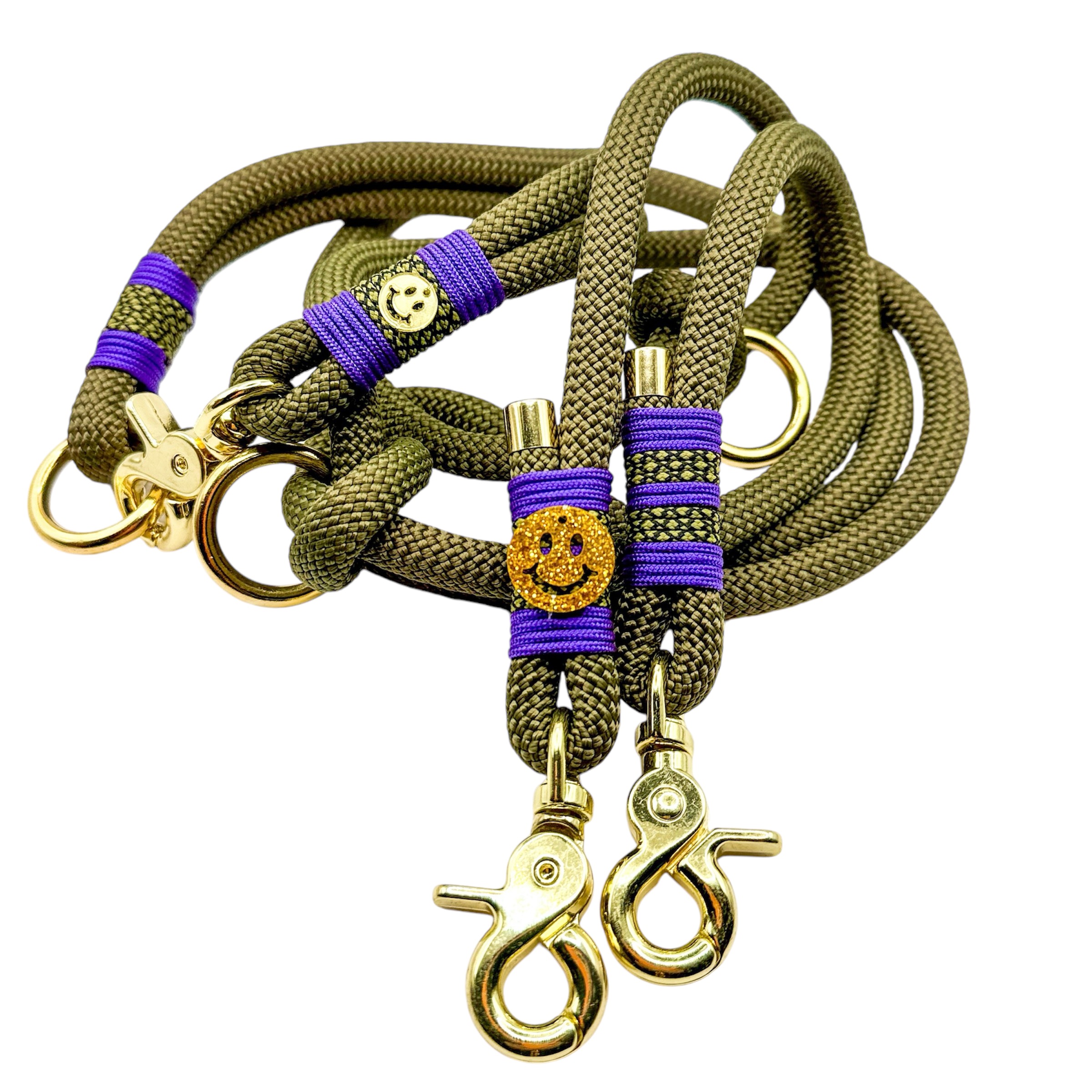 Hundeleine und Halsband 'Goldisches Lächeln'